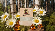 Birchwood Breeze - Fresh Start