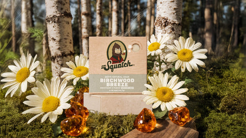 Birchwood Breeze - Fresh Start
