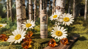 Birchwood Breeze Spray Deodorant - Clean Mood
