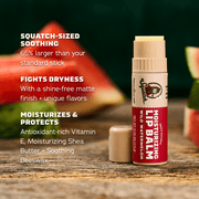 Lip Balm 4-Pack - Travel Edit