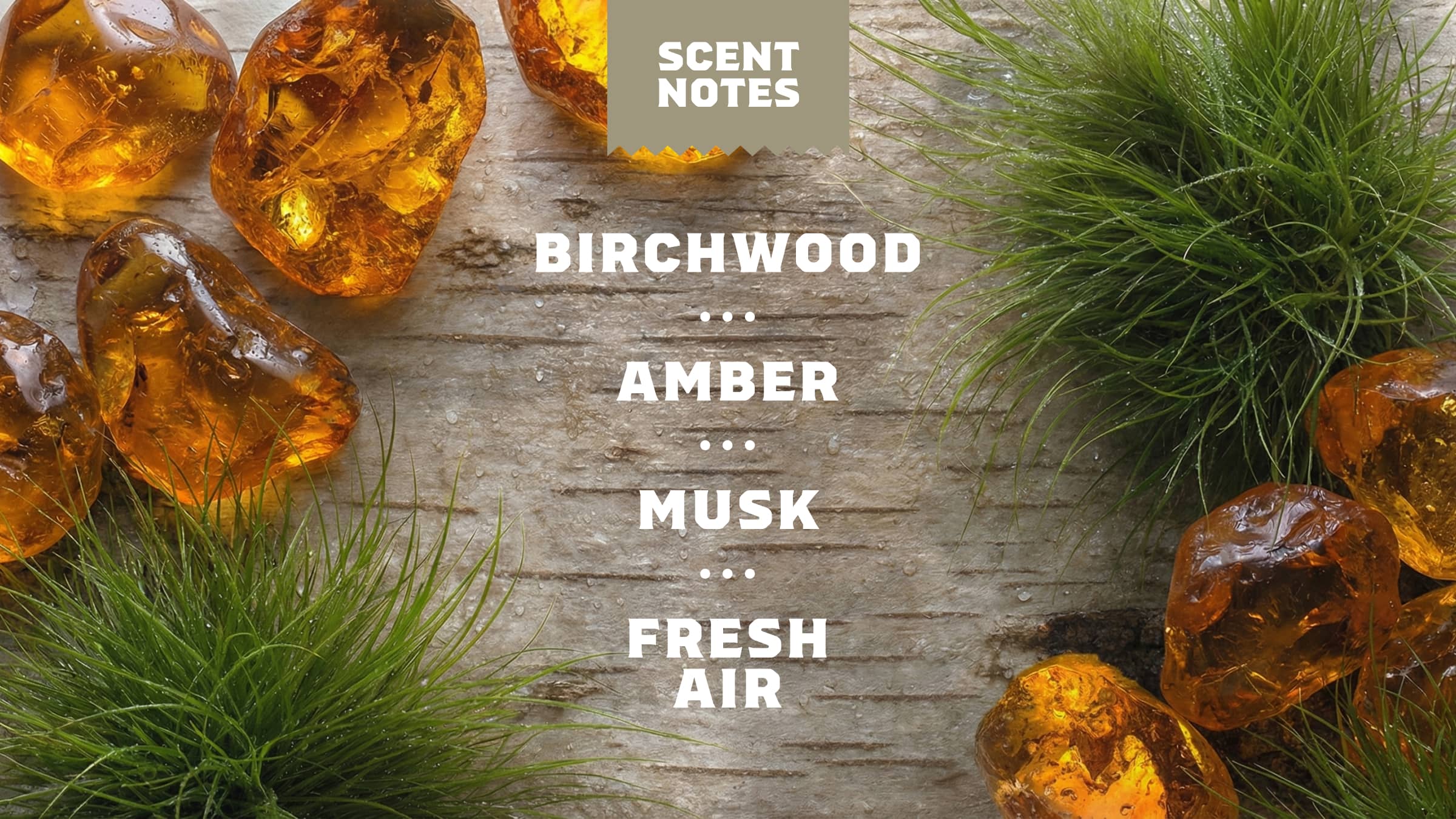 14 oz Birchwood Breeze Body Wash - Fresh Notes