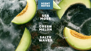 Coastal Mist - Modern Blend