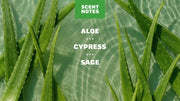 Cool Fresh Aloe Exfoliating Face Wash - Daily Set
