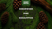 Pine Tar Invisible Glide Deodorant - Bright Scent