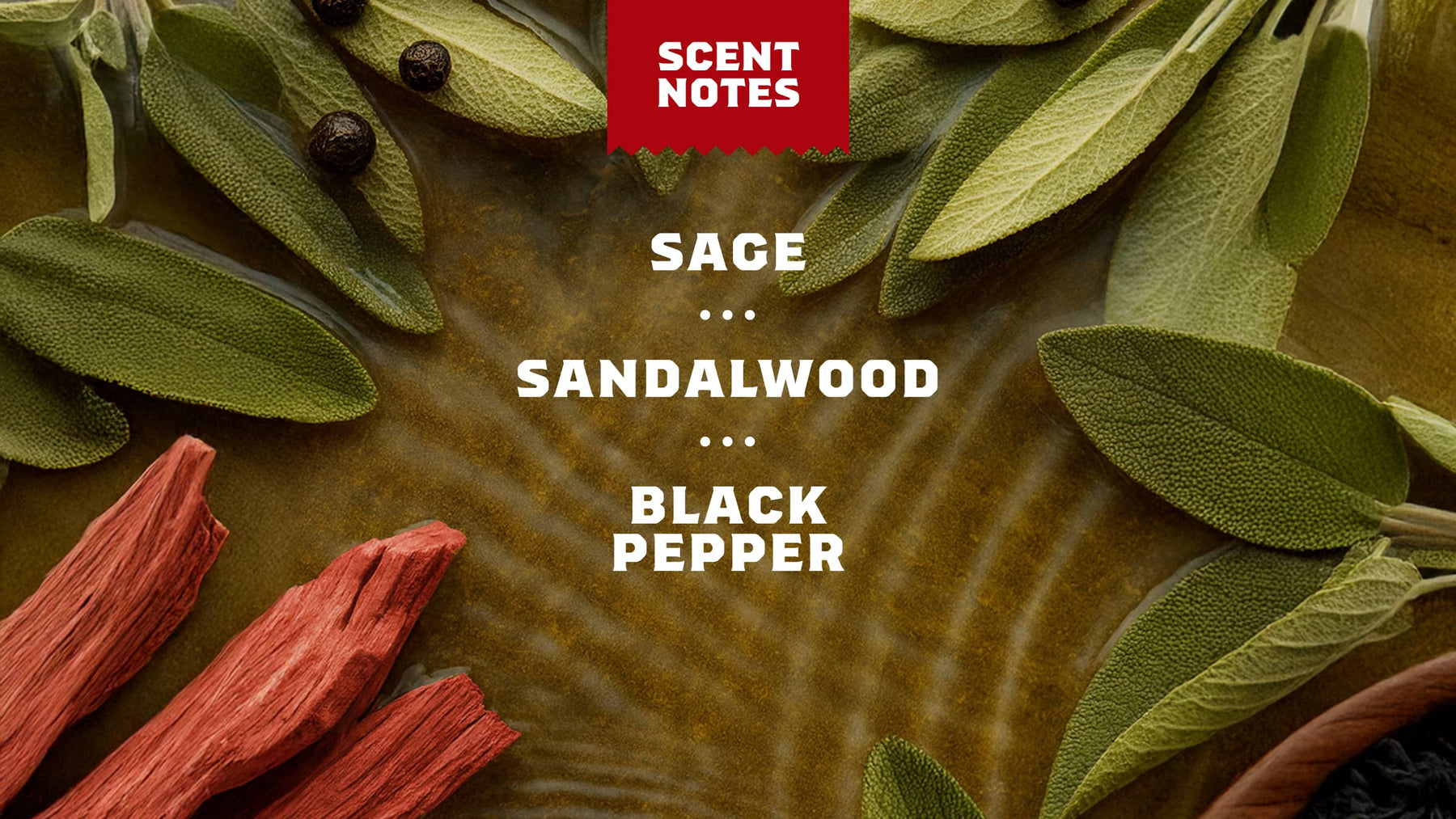 Sandalwood Summit - Fresh Routine