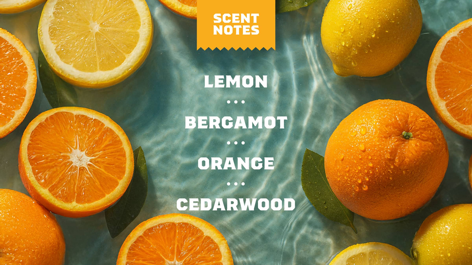 Summer Citrus - Body Care