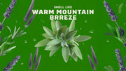 Alpine Sage - Soft Glow