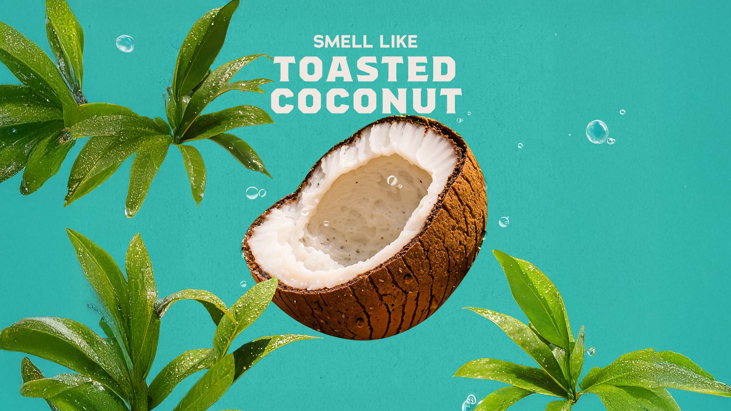 14 oz Coconut Castaway Body Wash - Cozy Glow