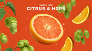 Grapefruit IPA - Fresh Routine