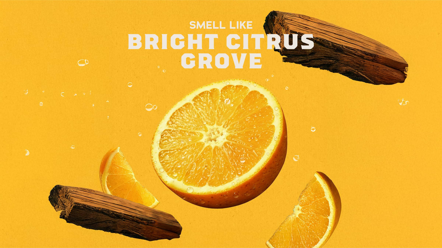 14 oz Summer Citrus Body Wash - Clean Mood