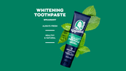 Soothing Spearmint - Night - Bright Touch