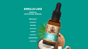Beard Oil 3-Pack - Classic Pick